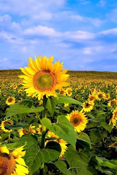 企业微信二维码